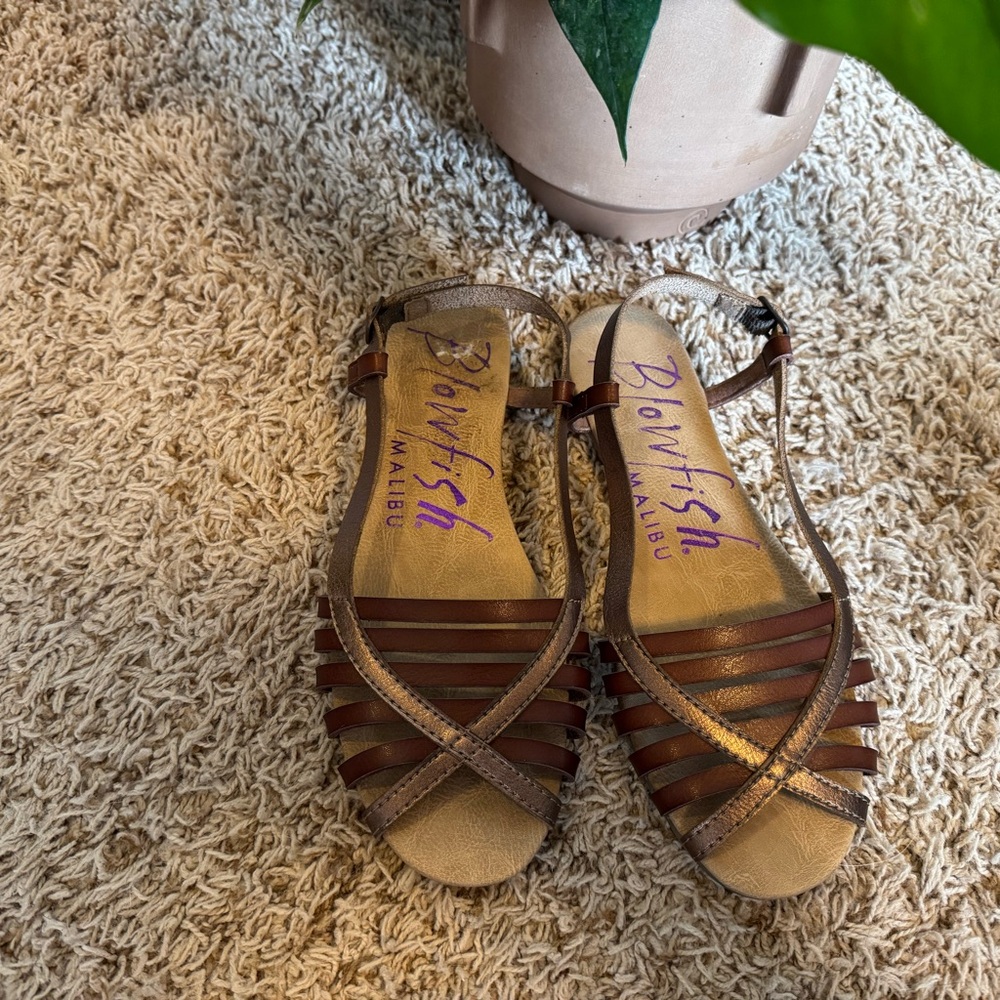 Blowfish Women's Brown Sandals